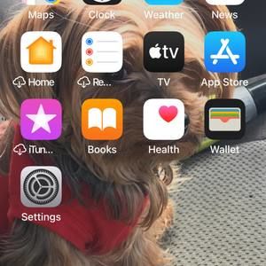 Meet your Posher, Ted